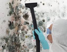 Mold Odor Removal Services in Ukiah, CA